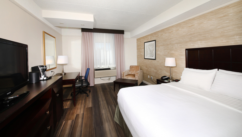 Holiday Inn & Suites Windsor Ambassador Bridge by IHG - Général