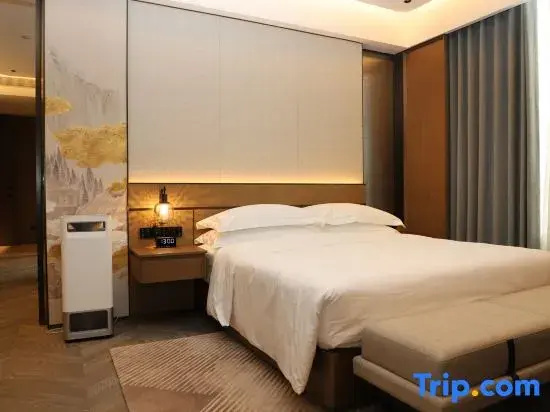 Premium Suite