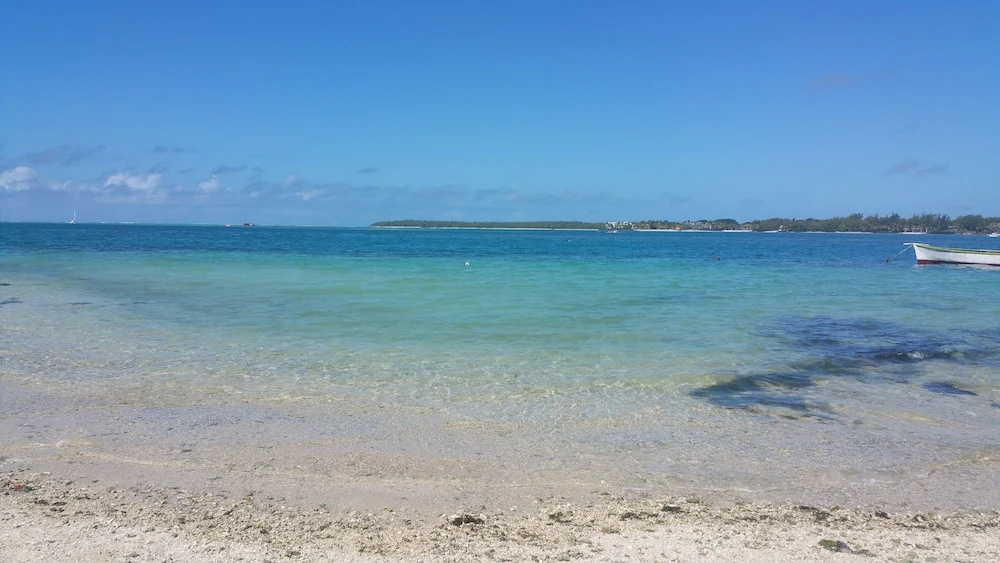 Beach & Waterfront
