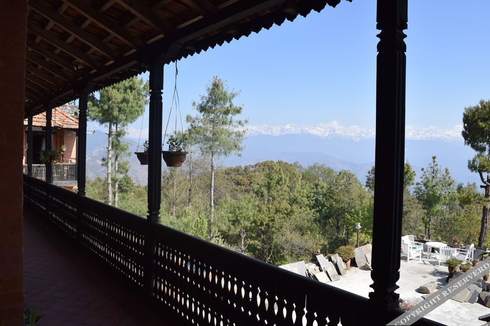 Balcony & Terrace