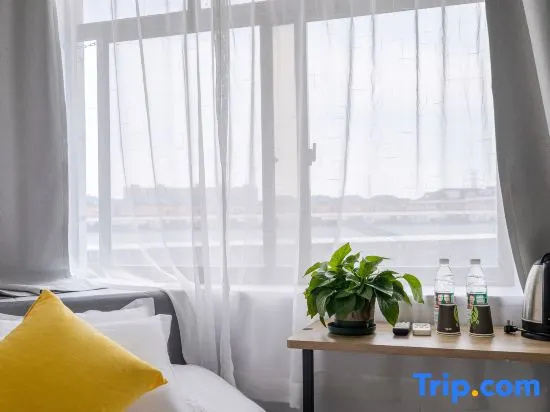 Balcony & Terrace