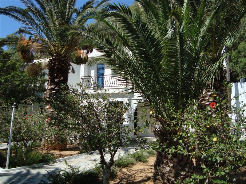 Avra Palm