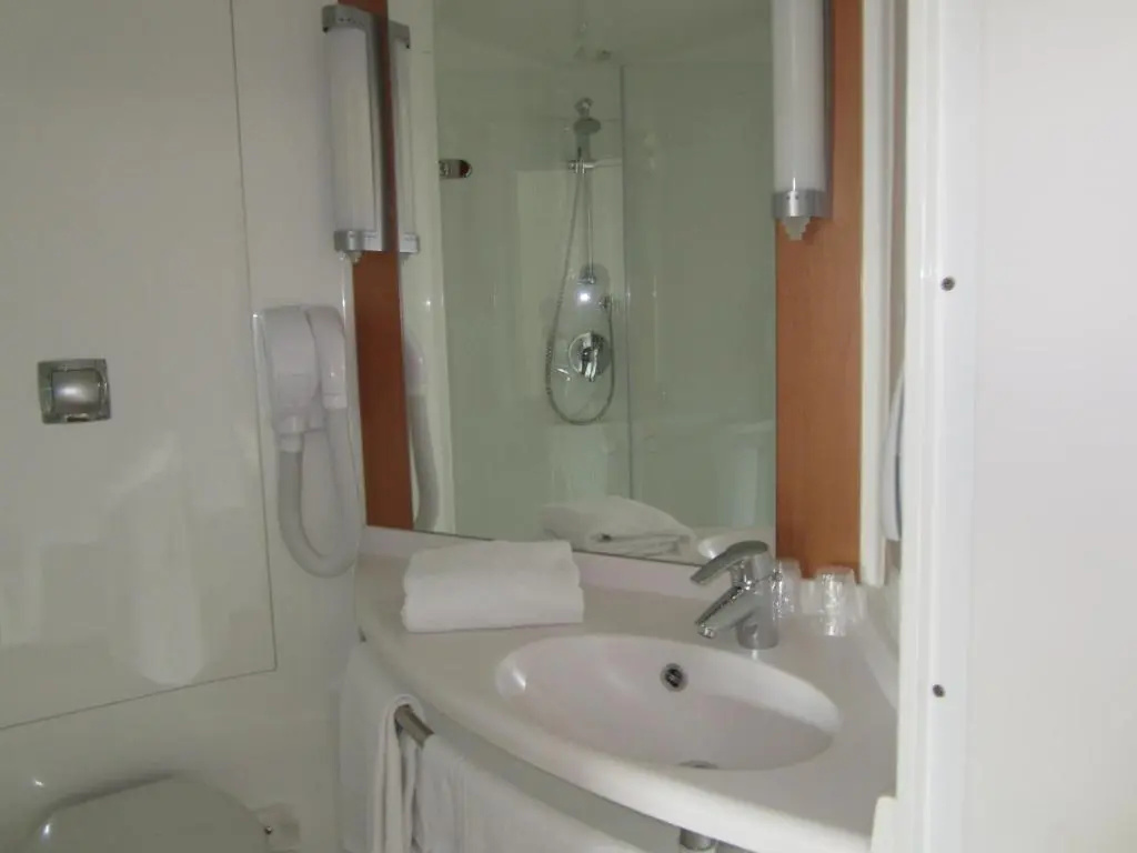 Standard Double room (twin beds)