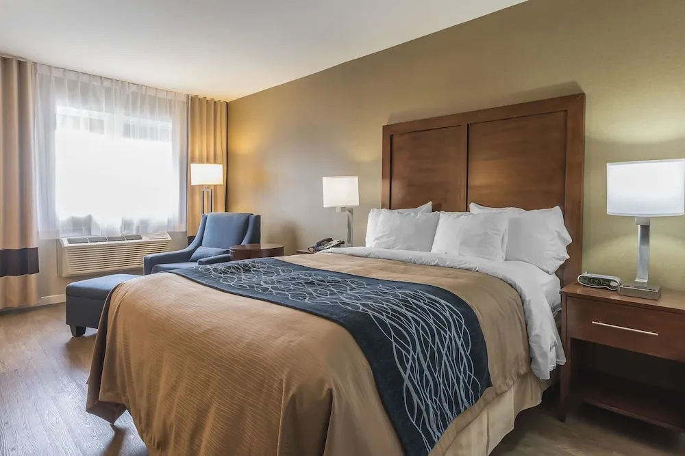 Comfort Inn - Chambres