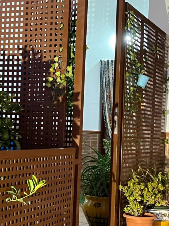 Hotel photo 46