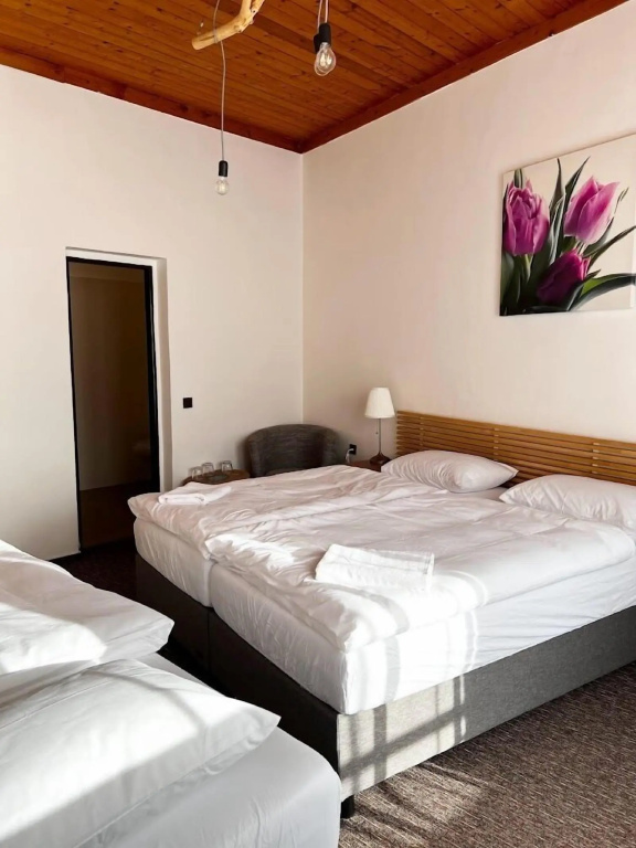 Pension Mona — 5