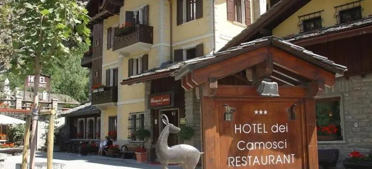 Hotel Dei Camosci - Général