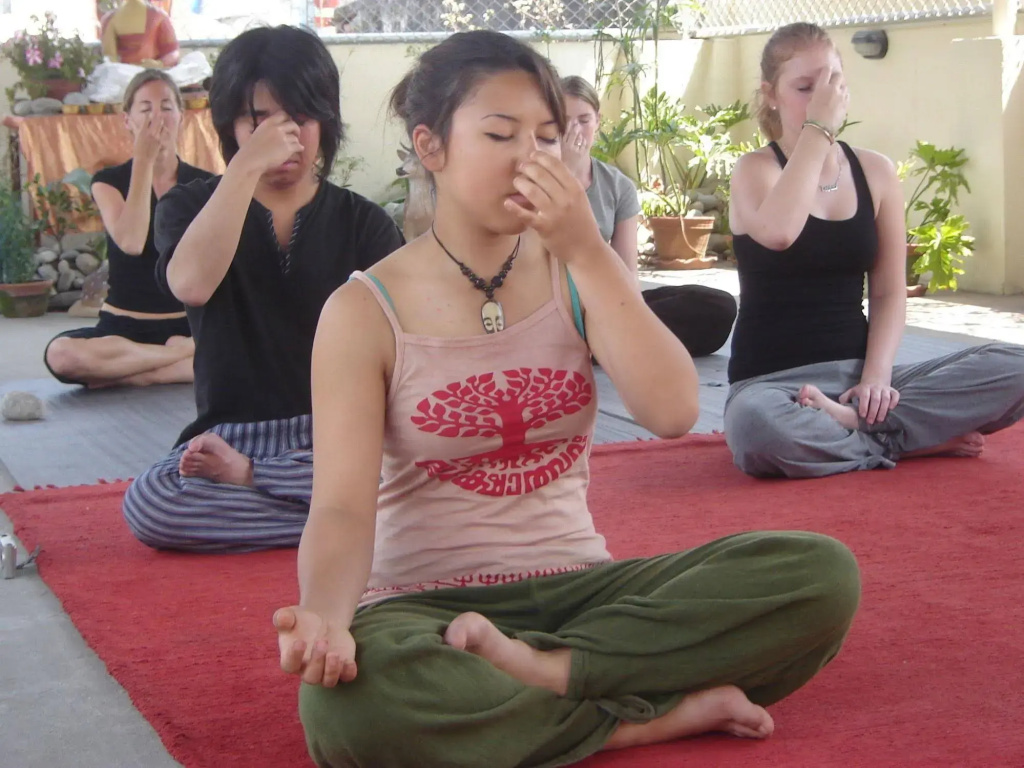 Hotel Himalaya Yoga - Général