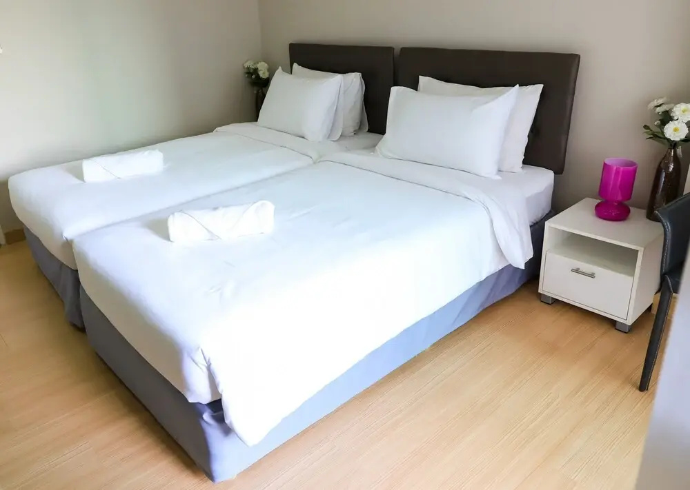 Standard Double room with balcony and with city view (twin beds)