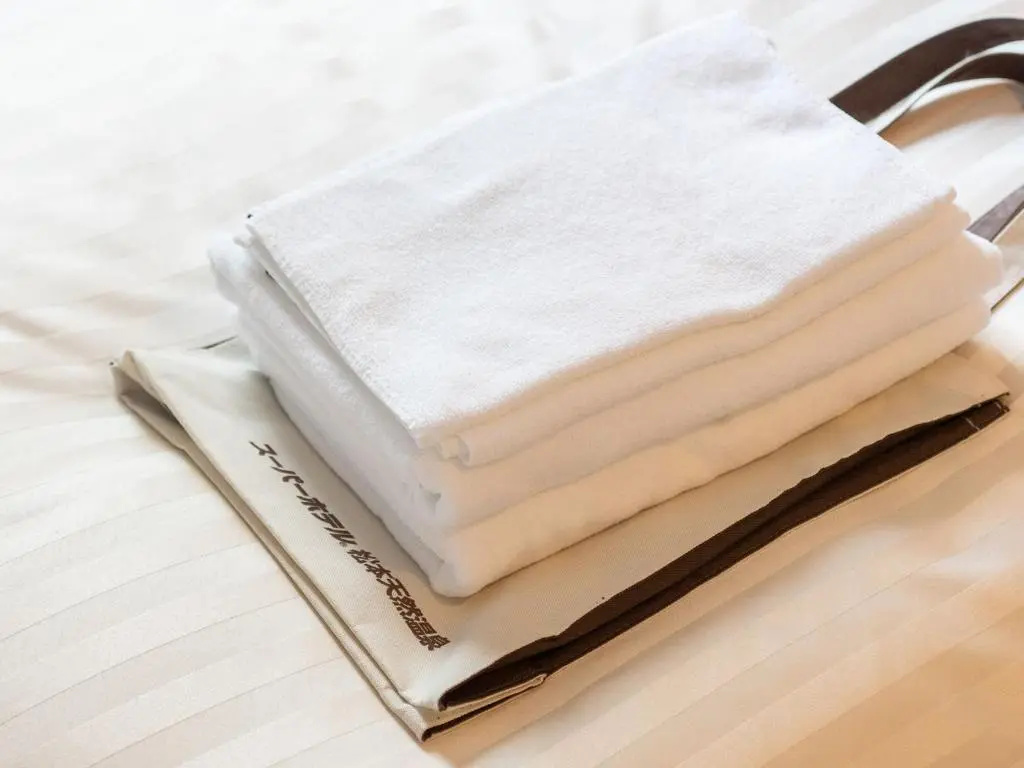 Super Hotel Matsumoto Oshiroguchi  - Chambres