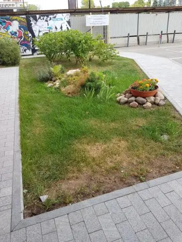 Comfort hostel - фото 10