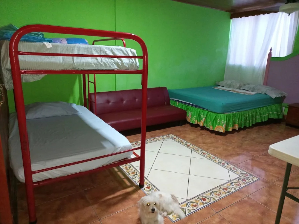 Bed in Dorm