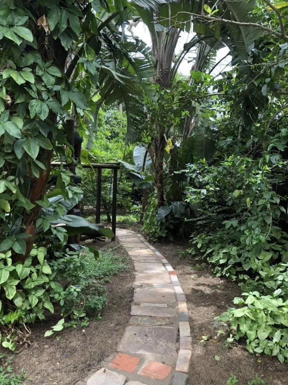 Ingwenya Lodge - Général