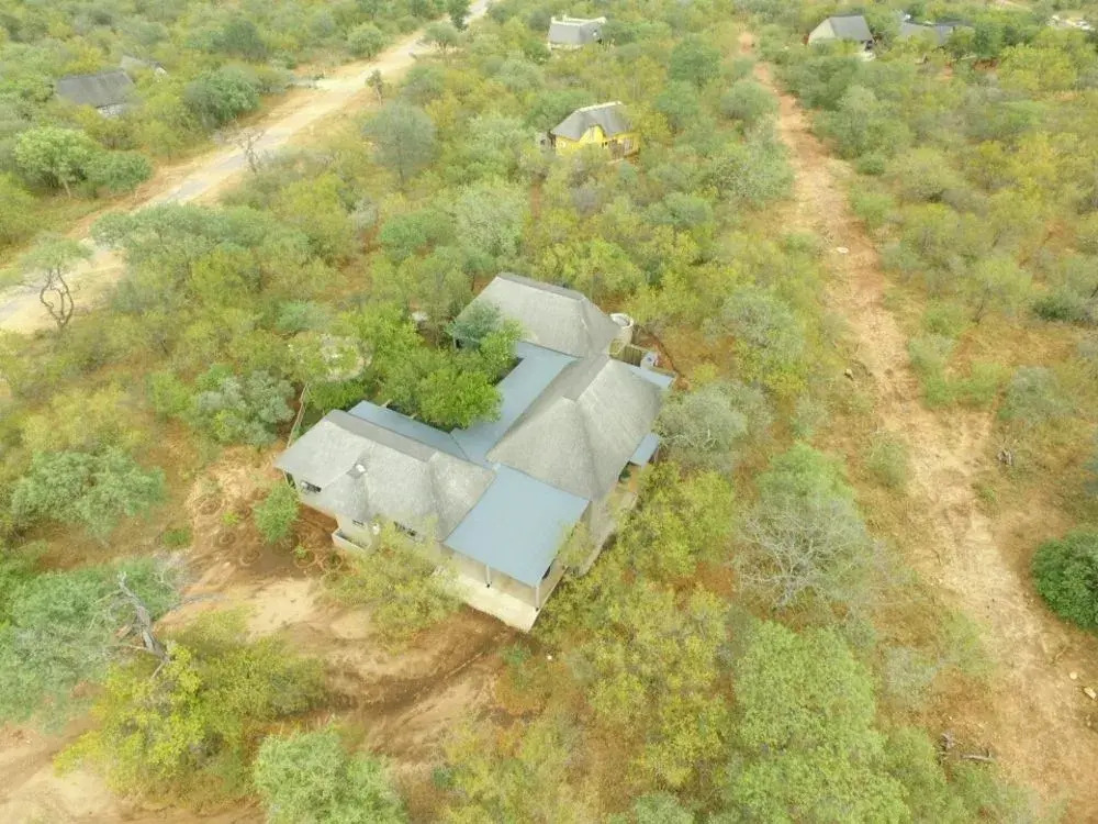 Pangolin Lodge — фото 5