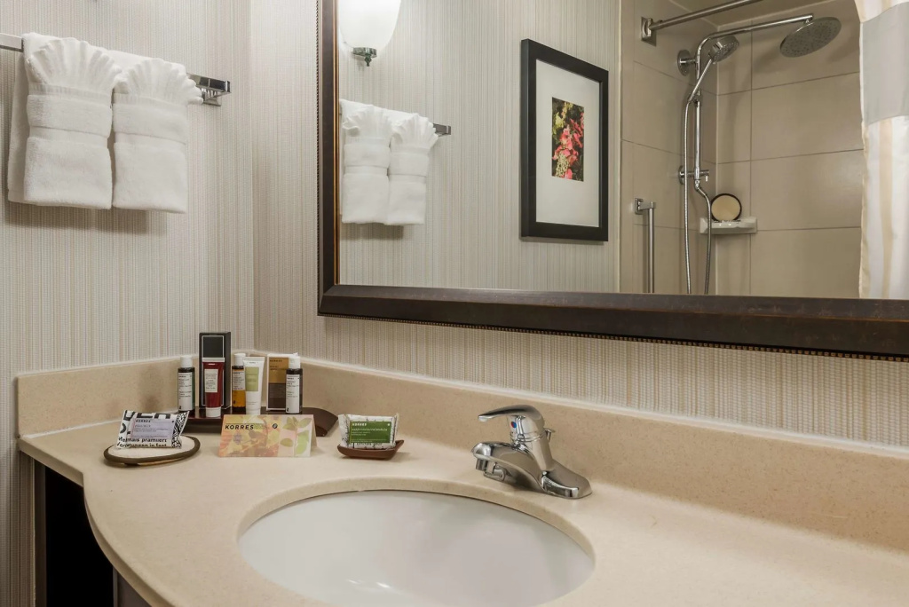 Hilton Garden Inn Atlanta North/Alpharetta - Général