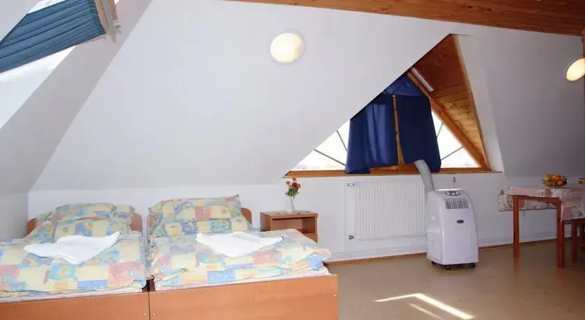 Tisza Apartman - фото 3