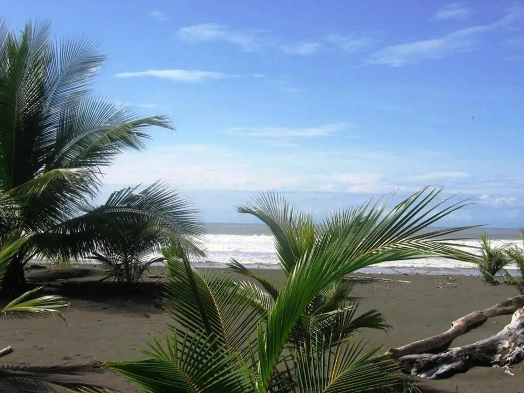 2 Comfortable New Villas Near Pacific, Private Pool With Waterfall! - фото 11