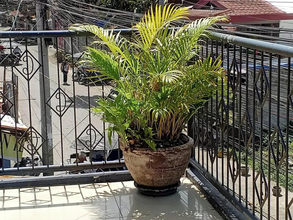 Remarkable 1-bed Apartment in Davao City