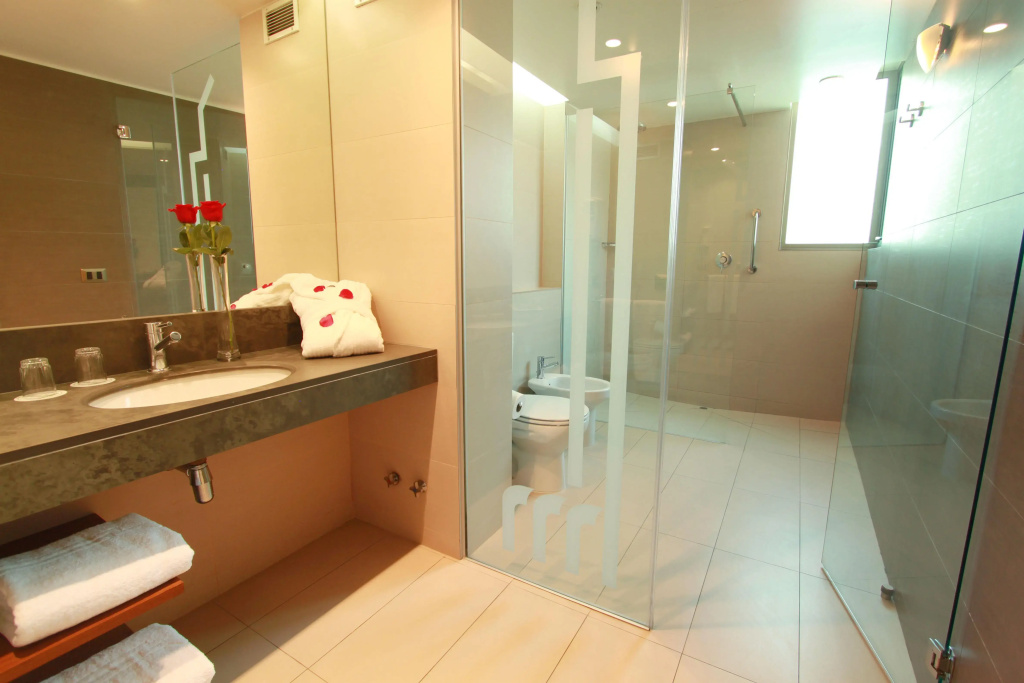 Hotel Torremayor Lyon - Général