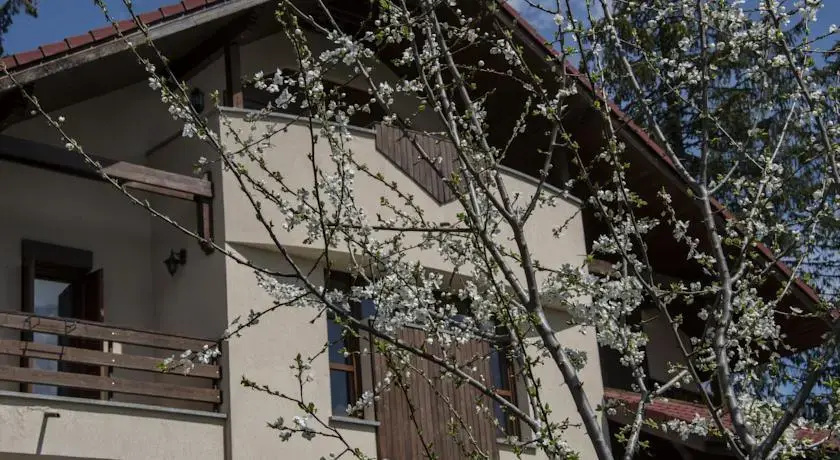 Transylvanian Villa