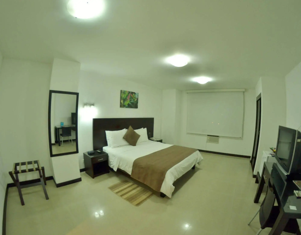 Hotel Pinares Plaza - Général