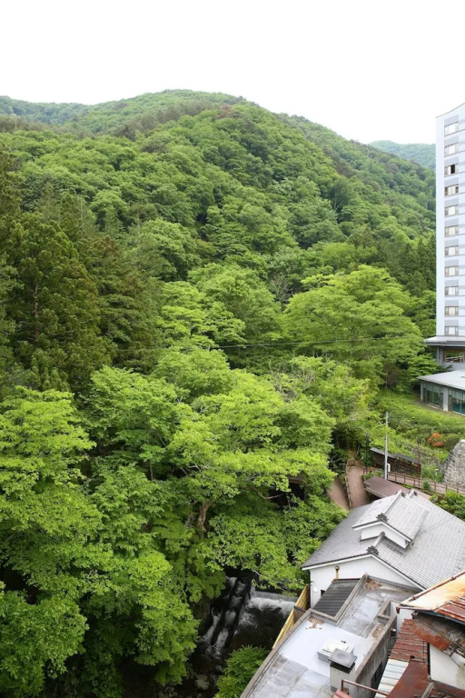 Fujiya Ryokan