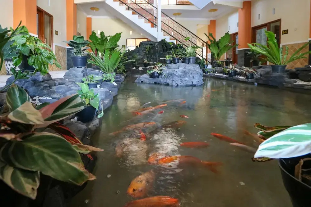 Hotel photo 13