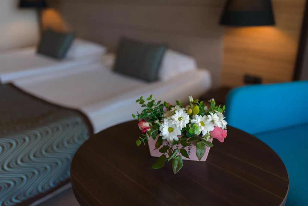 Astera Hotel & Spa - Général