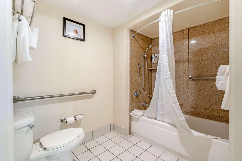 Comfort Inn Kissimmee-Lake Buena Vista South - Général