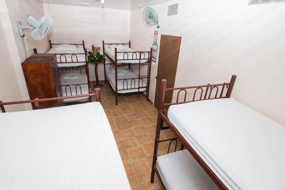 Bed in Dorm