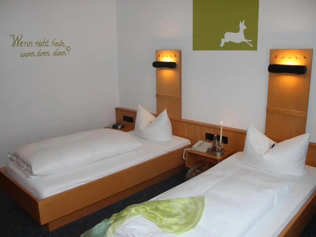 Standard Double room (twin beds)