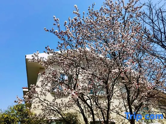 Guanlan Residence Seaview Resort Villa (Qingdao May 4th Plaza Vientiane City Shop)