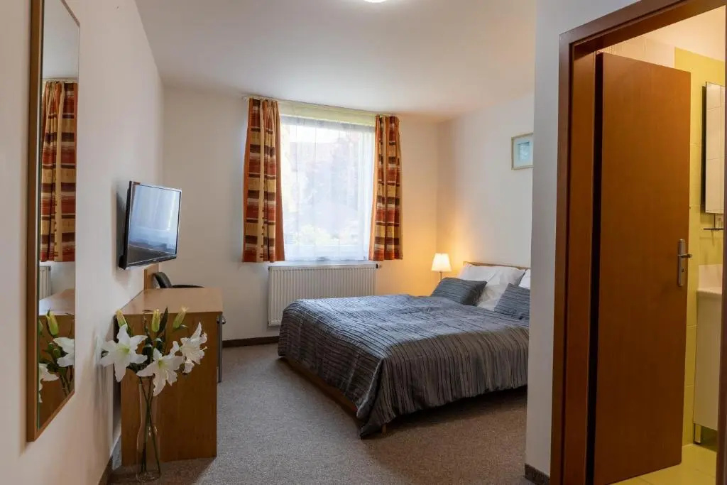 Standard Double room (full double bed)