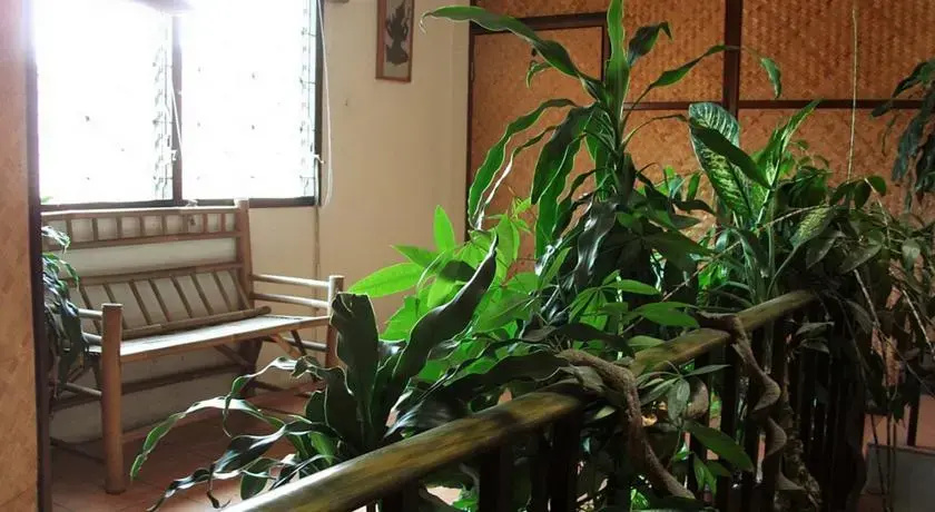 Yamawa Guesthouse 2024