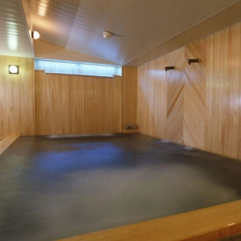 Ikaho Onsen Sanyo Hotel - Général