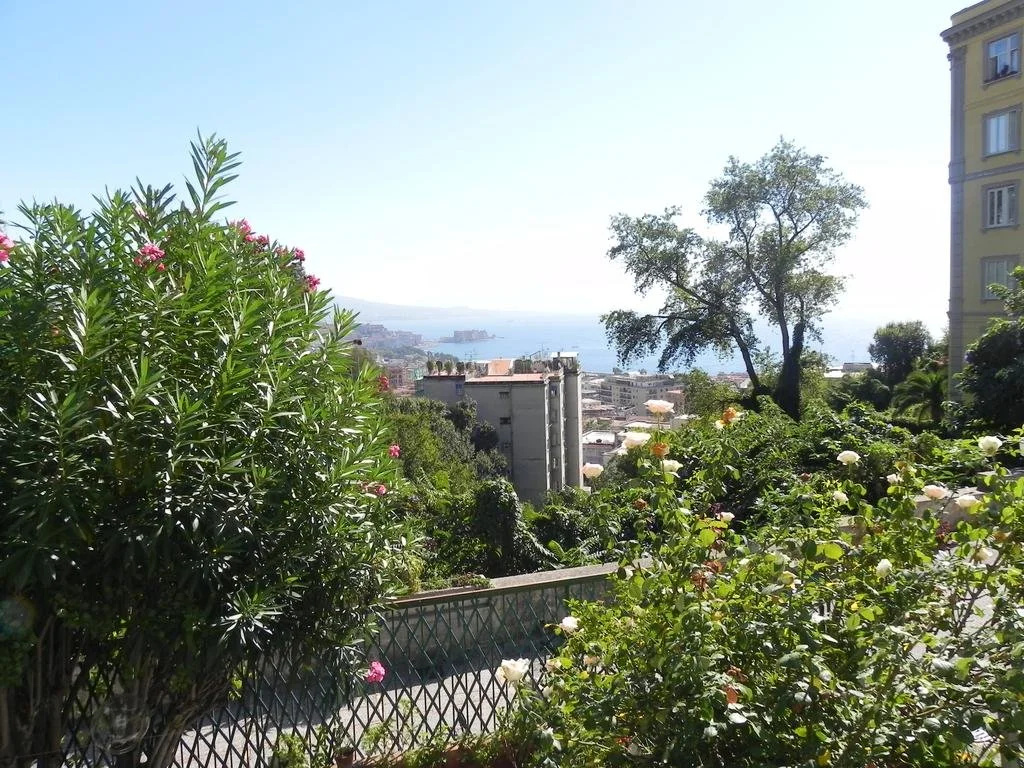 Balcony & Terrace