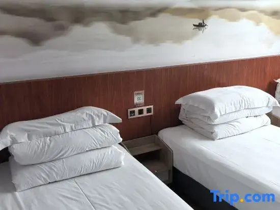 Standard Double room (twin beds)