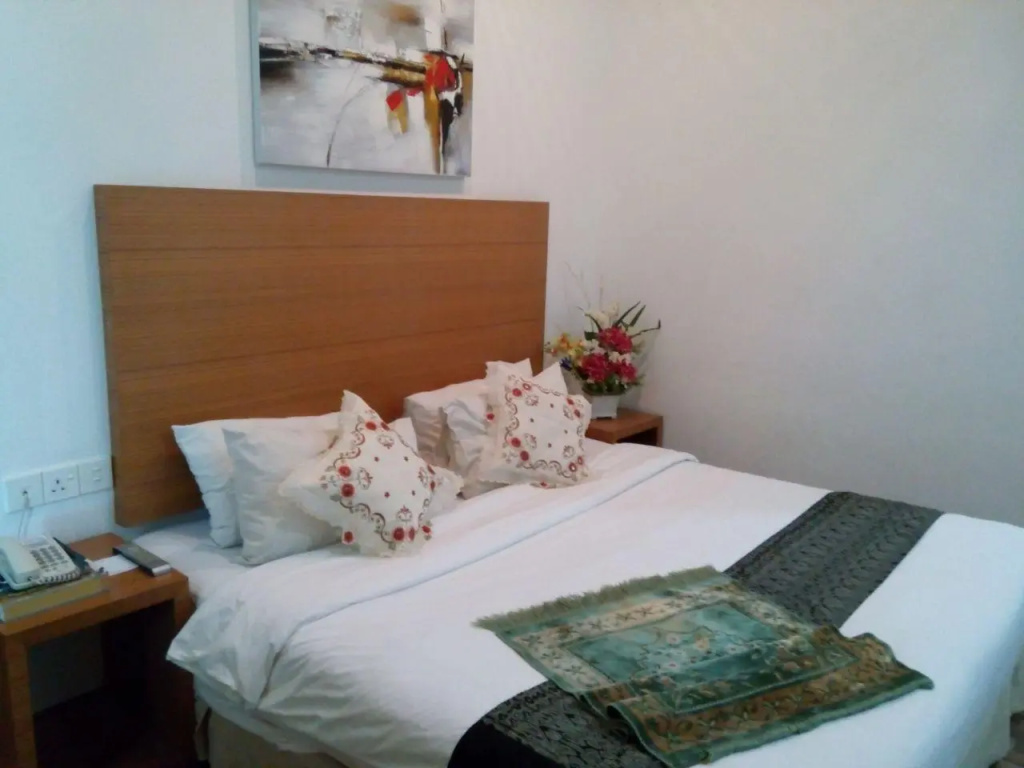 Double Studio with city view (full double bed)
