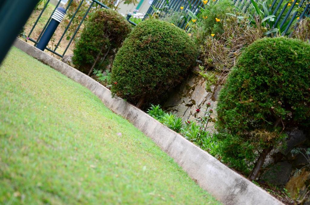 Spring Acre