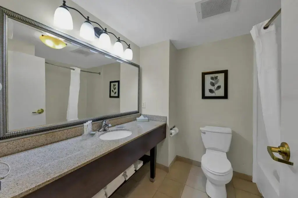 Country Inn & Suites by Radisson, Braselton, GA - Général