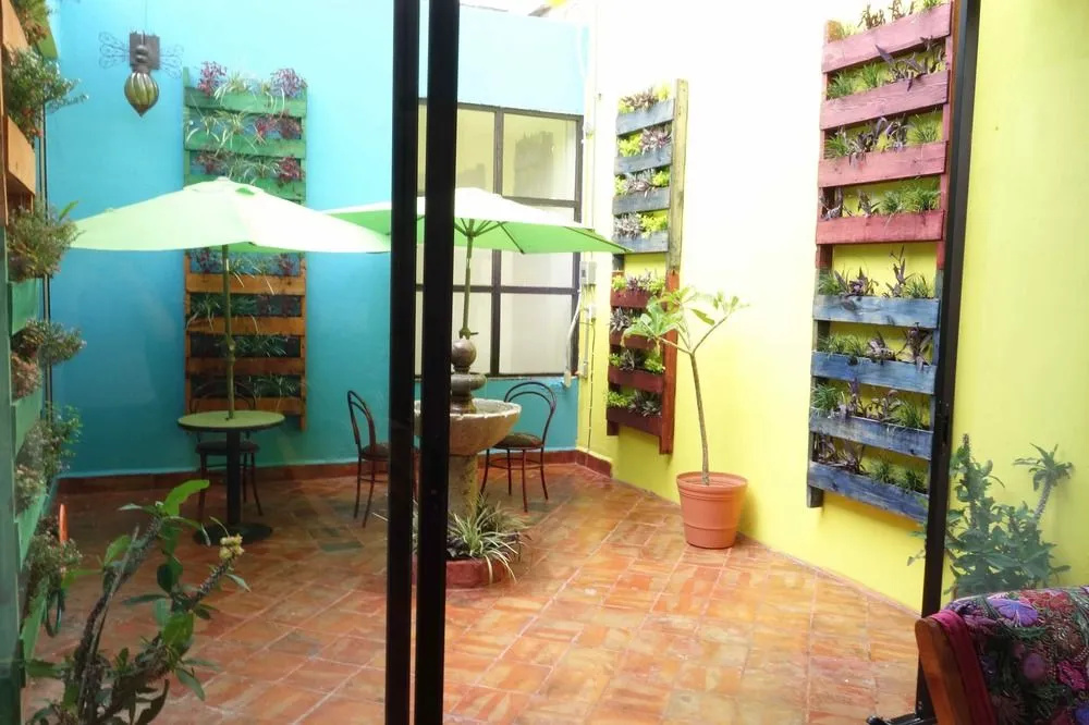 Raices del Alma Hotel Boutique(Raíces Del Alma Hotel Boutique) - Général