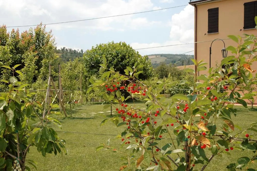 Agriturismo I Gelsi di Santa Cristina - Chambres