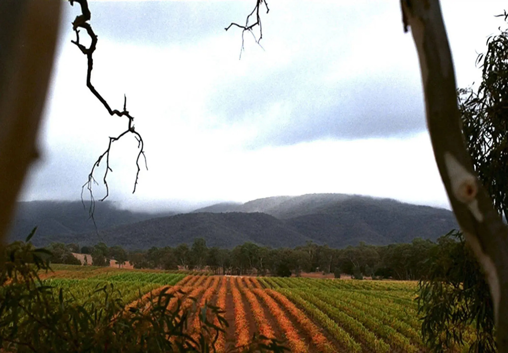 Eco-luxe at Mount Avoca