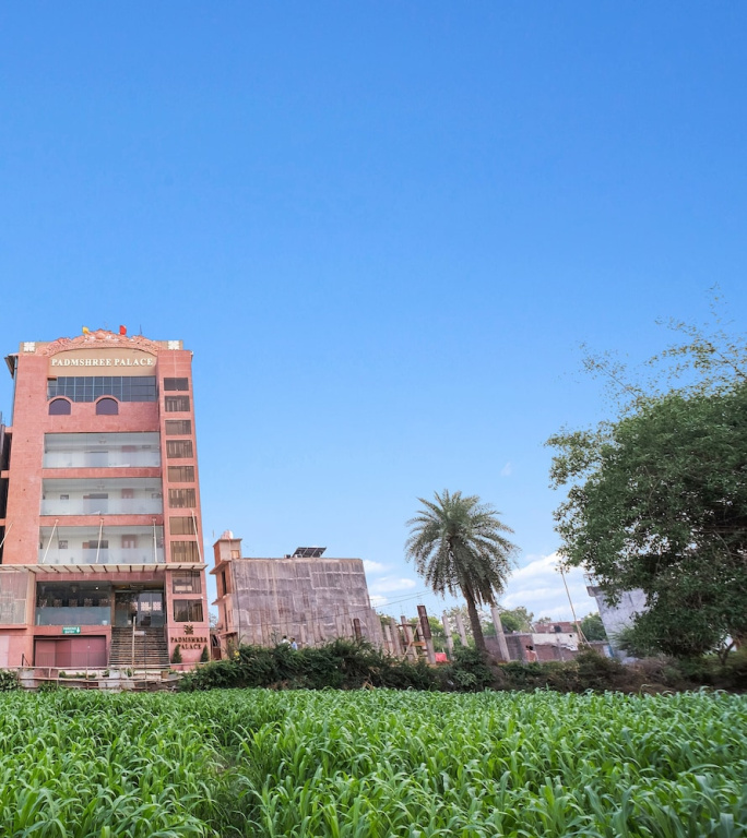 Hotel photo 45