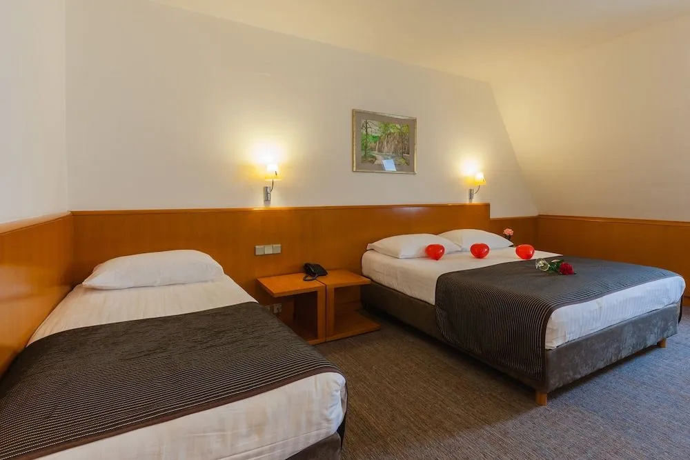 Grabovac Hotel - Général
