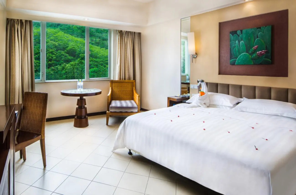 Superior room with mountain view