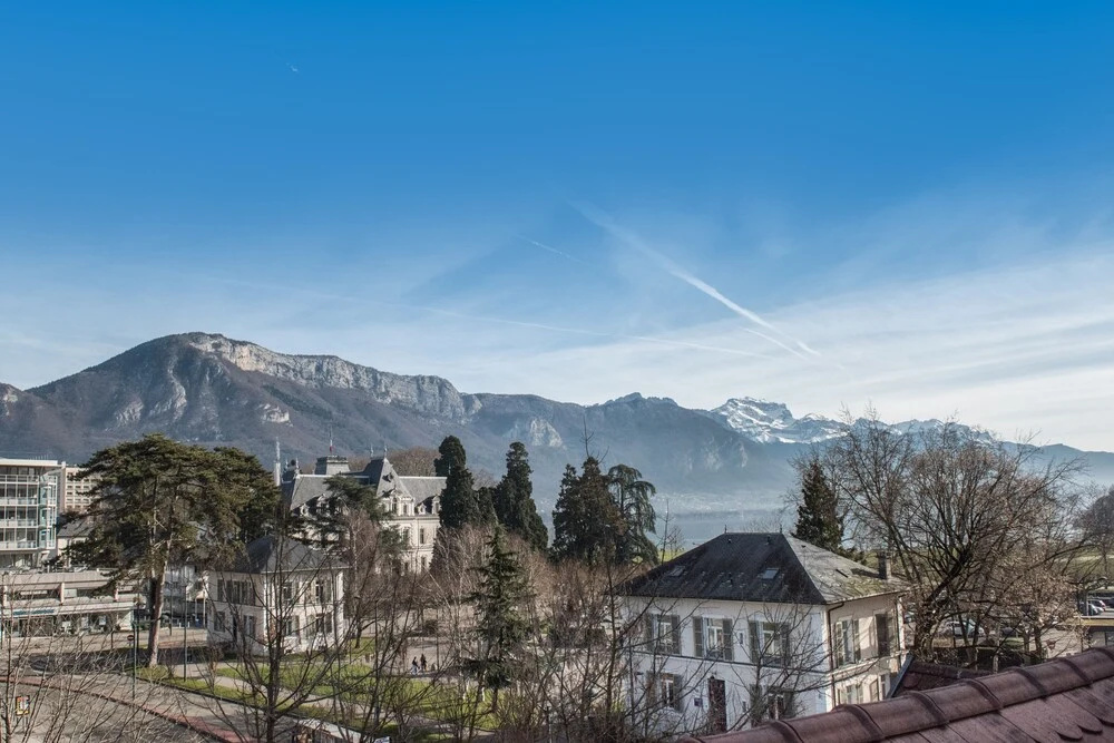 Vallat Lodges Annecy L'hôtel Particulier - Général