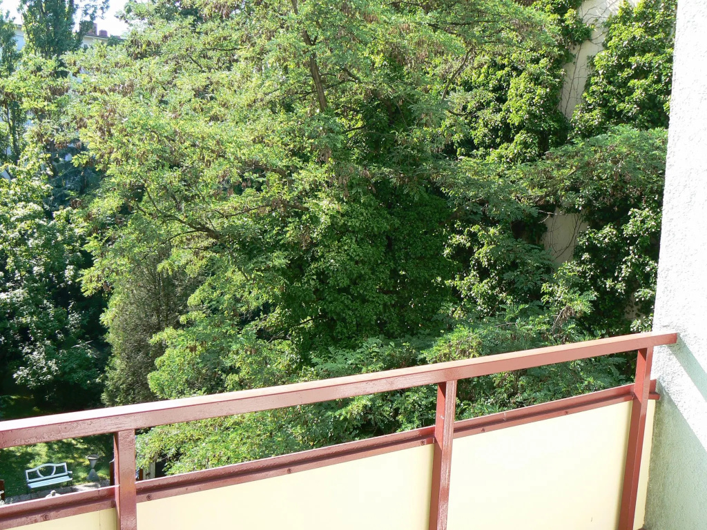 Comfort Double room (full double bed)