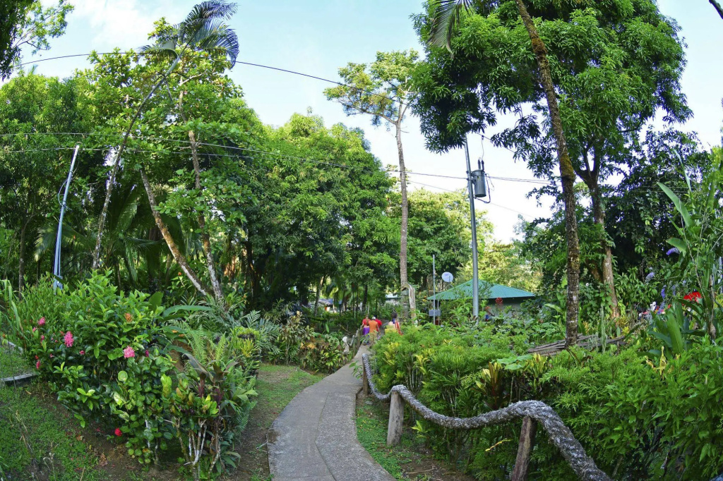 Poor Man's Paradise