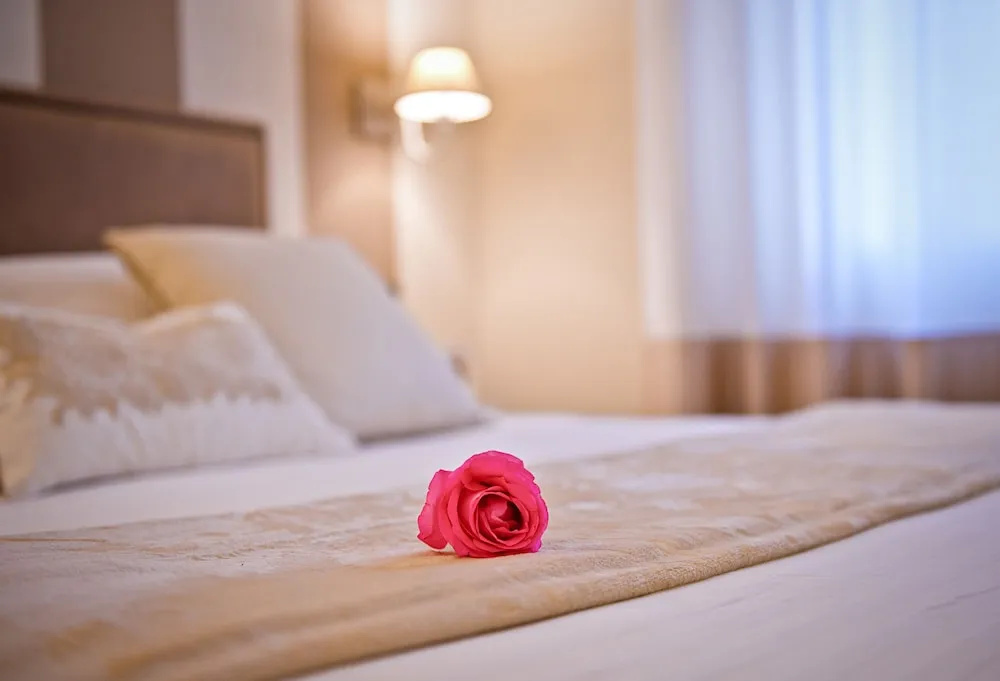 Standard Double room with city view (twin beds)